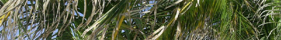 The HWW Learning Center header image 3